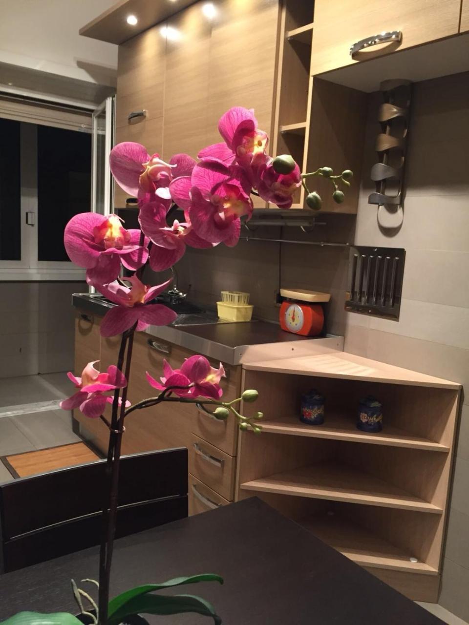 Smart House - Ammiragli2 Apartment โรม ภายนอก รูปภาพ
